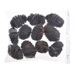 Platyspernum ( kokony ) LARGE L6-8cm paczka/250 g  -susz roślinny