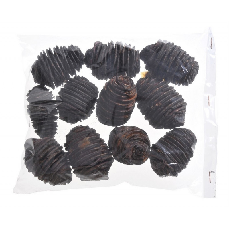 Platyspernum ( kokony ) LARGE L6-8cm paczka/250 g  -susz roślinny