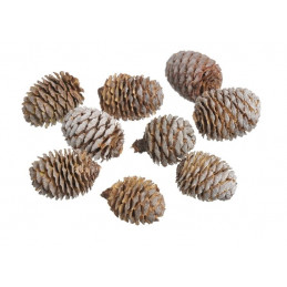 Murri główki paczka 200 g 4-5 cm - szyszki Muri