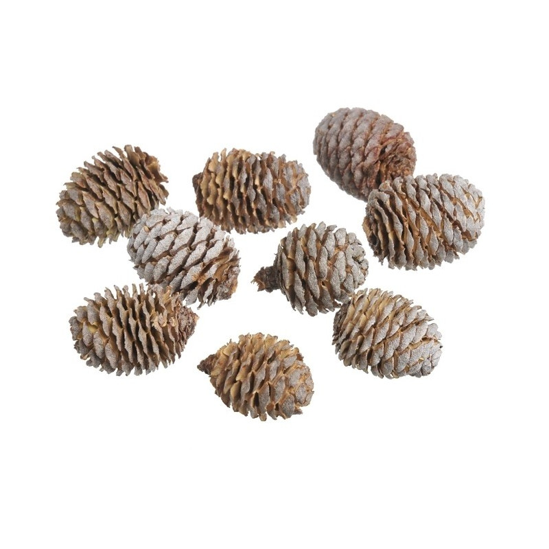 Murri główki paczka 200 g 4-5 cm - szyszki Muri