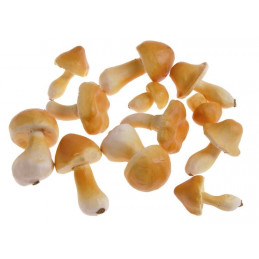 Grzyby sztuczne 4-8cm, 12szt-pacz