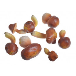 Grzyby sztuczne 6-9 cm, 8szt-paczzka