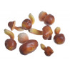 Grzyby sztuczne 6-9 cm, 8szt-paczzka