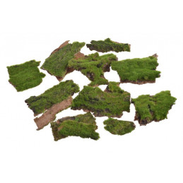 Kora z mchem paczka 100 g,  6-10 cm