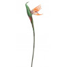 Strelicja x1..82 cm - sztuczny kwiat