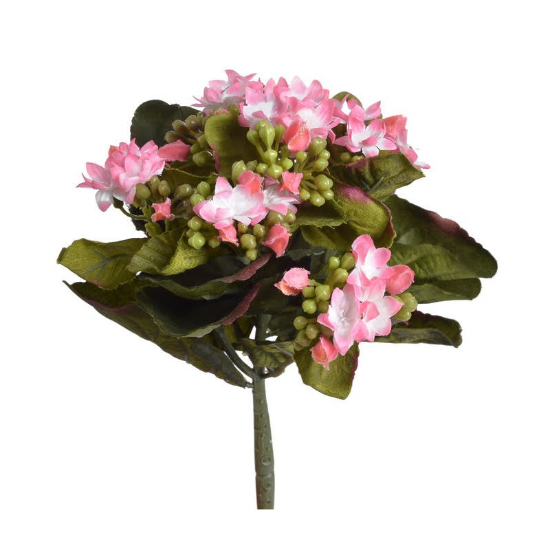 Kalanchoe bukiecik..23 cm - sztuczna roślina