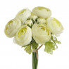 Ranunculus duży x 9 bukiet 25 cm