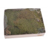 Flat moss 500 g - mech leśny