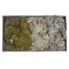 MECH - mixed moss 500gr 48x28x10 cm