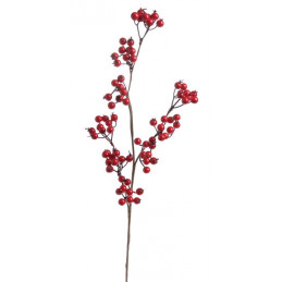 Gałązka głogu 60 cm