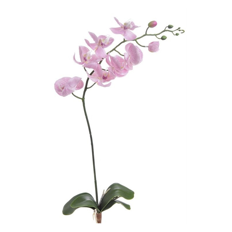 Storczyk gumowy z liściem 88 cm