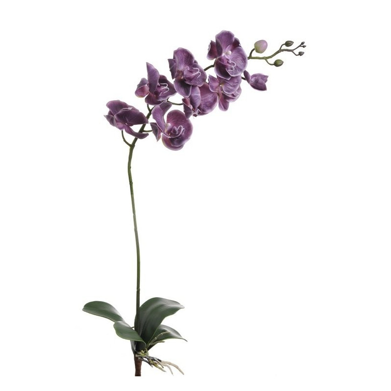 Storczyk gumowy z liściem 88 cm