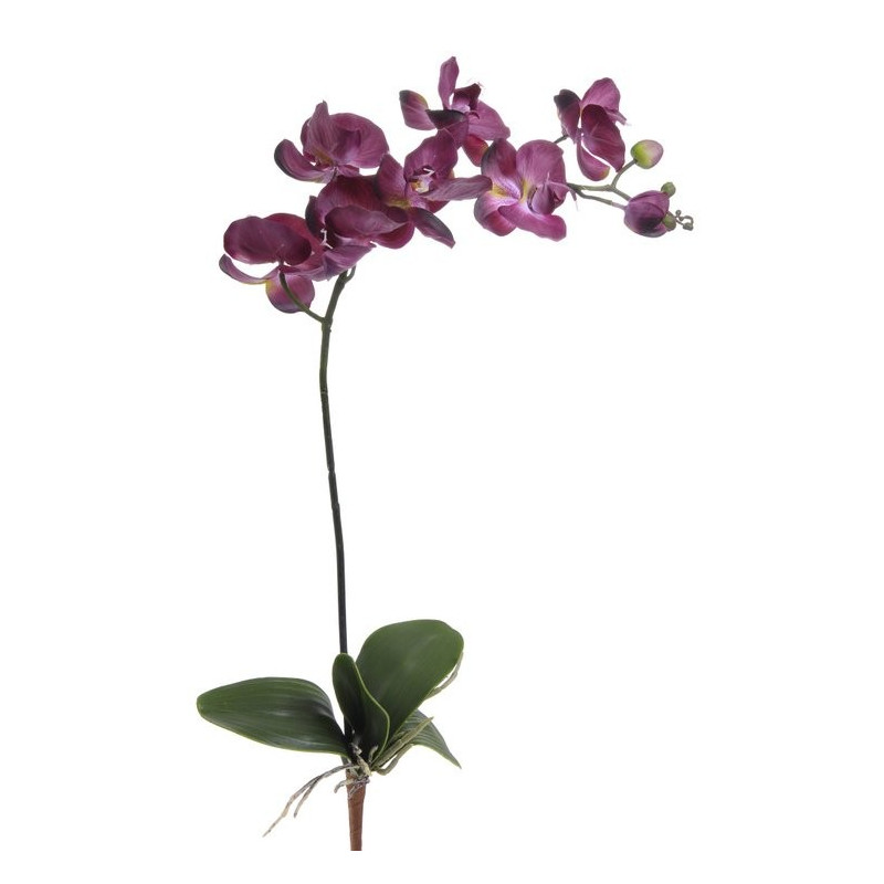 Storczyk gumowy z liściem 88 cm