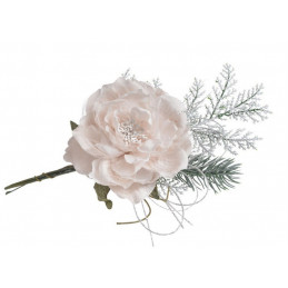 Róża chińska mała 10-25 cm