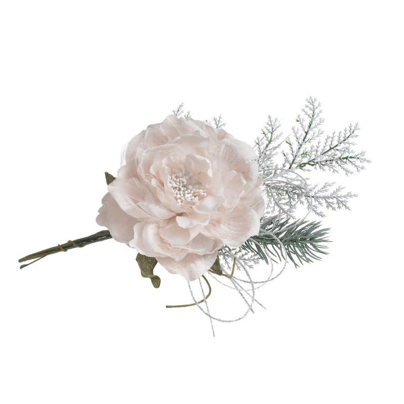 Róża chińska mała 10-25 cm