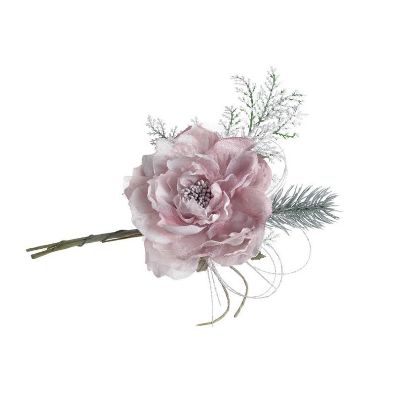 Róża chińska mała 10-25 cm