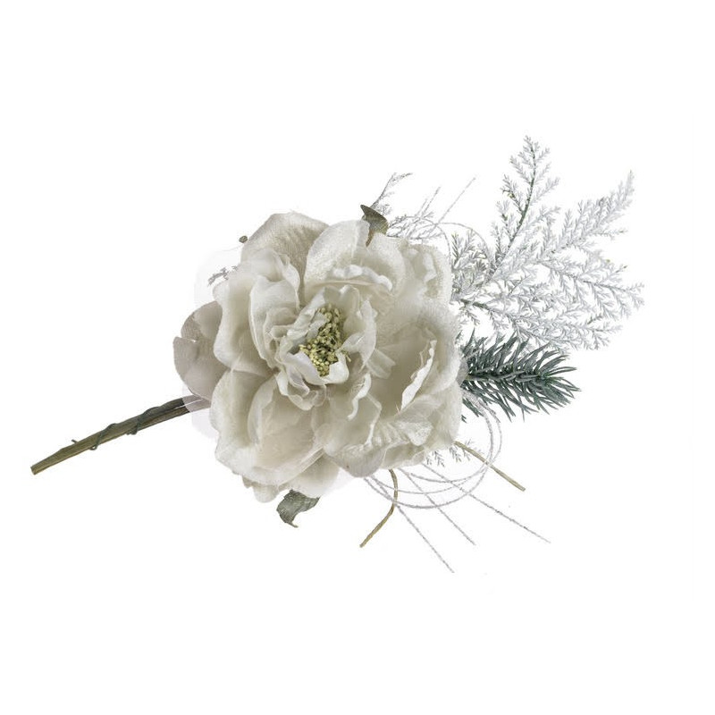 Róża chińska mała 10-25 cm