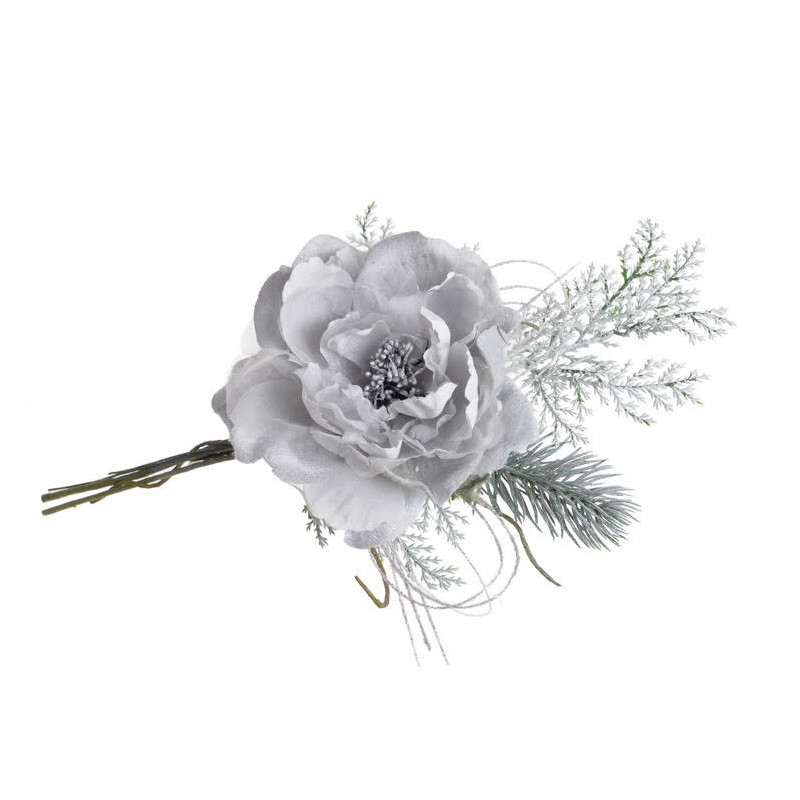 Róża chińska mała 10-25 cm