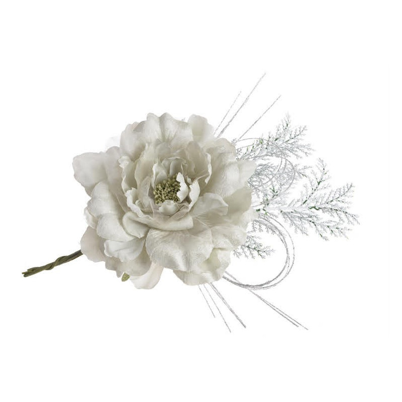 Piwonia duża pik 16-30 cm