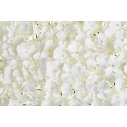 Mata hortensja 40x60 cm