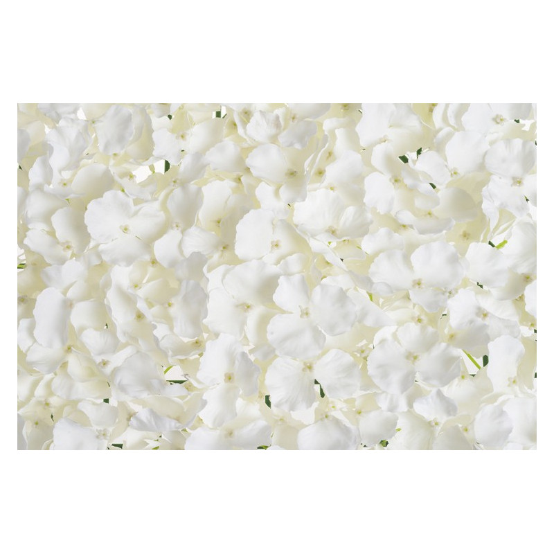 Mata hortensja 40x60 cm