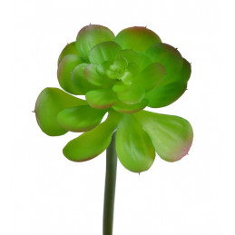 Sukulent x1 -sztucz.rośl...20 cm