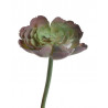 Sukulent x1 -sztuczna roślina 20 cm