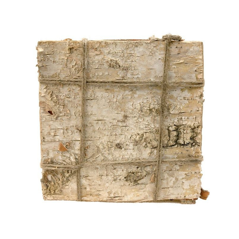 Płaty brzozy 20x20cm, 8szt/paczka