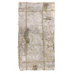 Płaty brzozy 40 x 20 cm 8szt/paczka