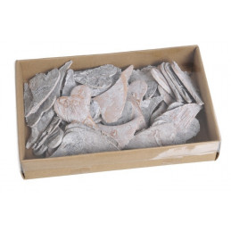 Serca wyb. washed 6x4cm, 48szt-pacz-brzoza