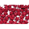 Gwiazdka wypukła 2,5 cm, 60 szt/paczka