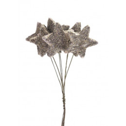 Gwiazdka 1 w pęczku H24 cm, F5 cm - paczka/6sztuk