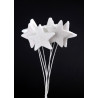 Gwiazdka 1 w pęczku H24 cm, F5 cm - paczka/6sztuk