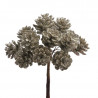 Szyszunia 12szt/pęczek 10 cm - 12 pęczków/paczka