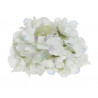 Hortensja główka 20 cm - MIX KOLORÓW