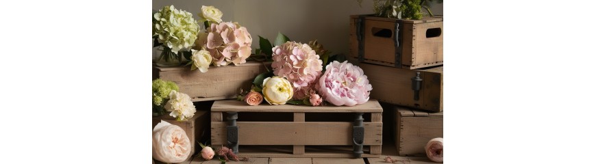 Meta Tytuł: Kup Kwiaty i Rośliny Wyróbione Online - Szeroki Wybór i Najlepsze Ceny | [Nazwa Sklepu]