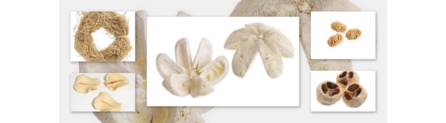 "Susz Wybielany - Najwyższej Jakości Produkty do Dekoracji | Sklep E-commerce"