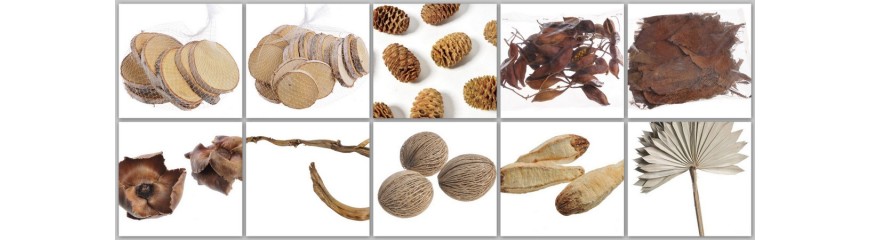 "Susz naturalny - wysokiej jakości, ekologiczny produkt | Twój Sklep E-commerce"