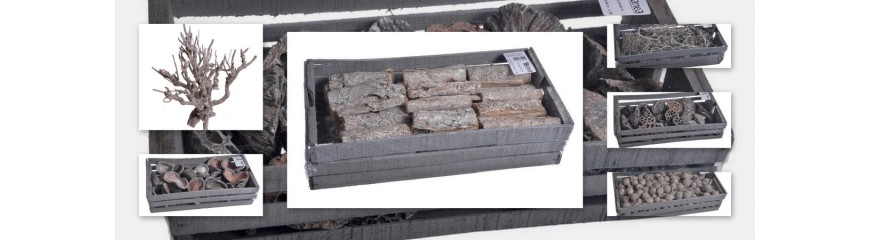 "Susz Frosted: Najwyższej Jakości Wybór Suszu Dekoracyjnego - Sklep Online e-Commerce"