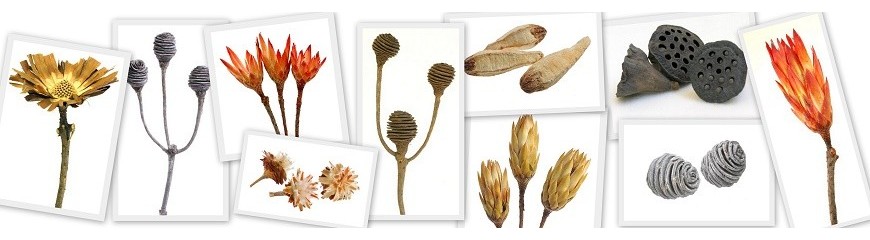 "Wyjątkowe Susze Roślinne i Susze Dekoracyjne – Ożyw Swoje Wnętrze Naturalnym Pięknem"